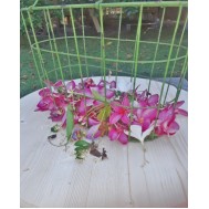 Zulu Facial Flowers Zulu Facial Flowers